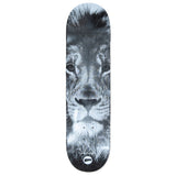DENLEY LION SKATEBOARD DECK